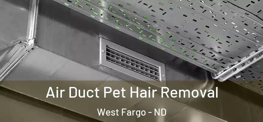  Air Duct Pet Hair Removal West Fargo - ND