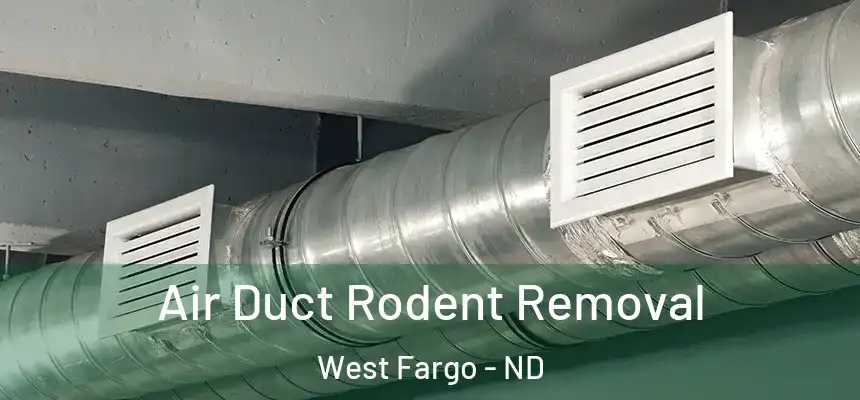 Air Duct Rodent Removal West Fargo - ND