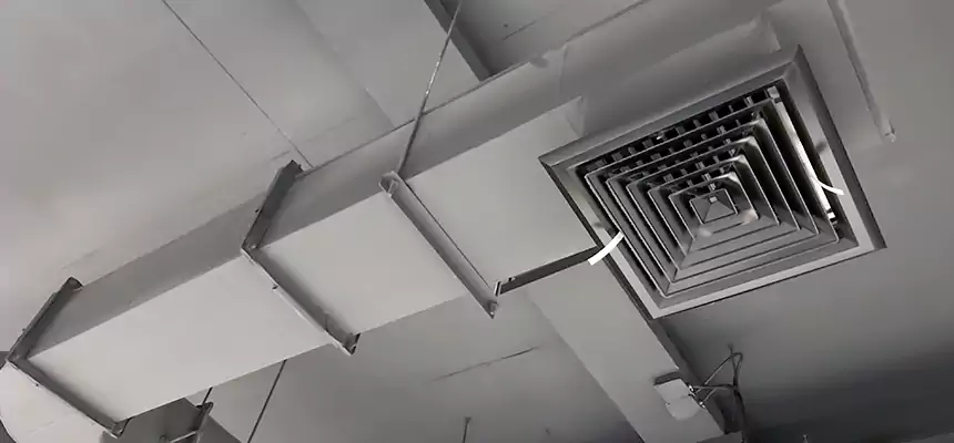 Our Pest Removal From Ducts Services in West Fargo, ND