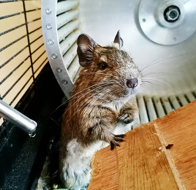 Why Homeowners & Businesses Trust Us West Fargo, ND